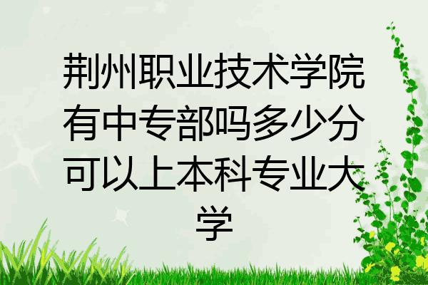 荆州职业技术学院有中专部吗多少分可以上本科专业大学