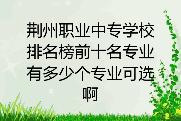 荆州职业中专学校排名榜前十名专业有多少个专业可选啊