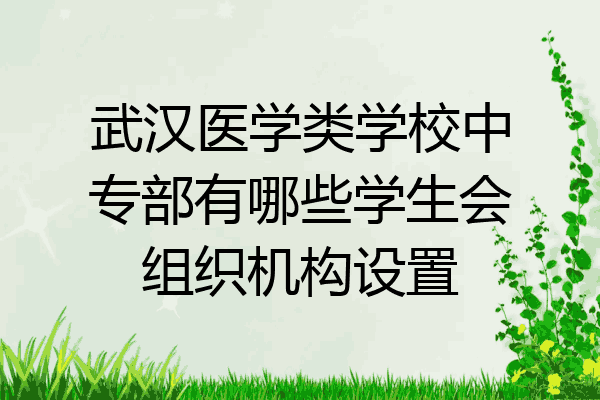 武汉医学类学校中专部有哪些学生会组织机构设置