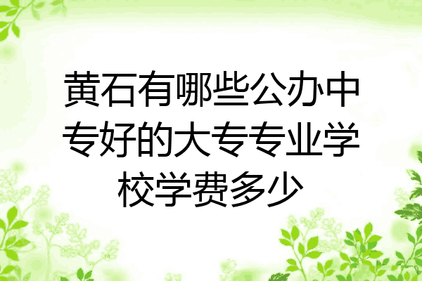 黄石有哪些公办中专好的大专专业学校学费多少