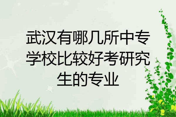 武汉有哪几所中专学校比较好考研究生的专业