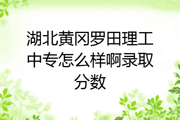 湖北黄冈罗田理工中专怎么样啊录取分数