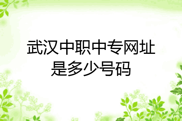 武汉中职中专网址是多少号码