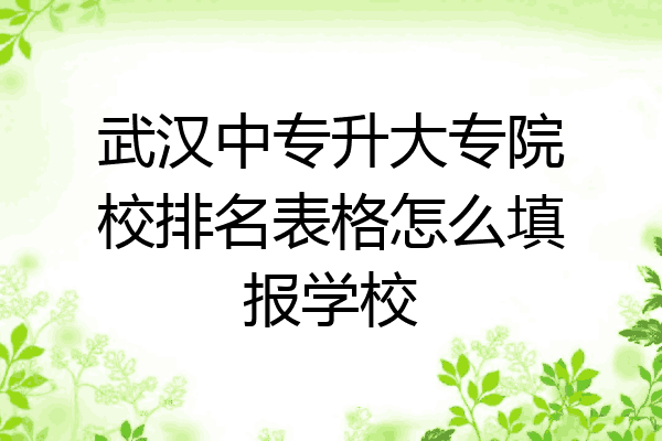 武汉中专升大专院校排名表格怎么填报学校