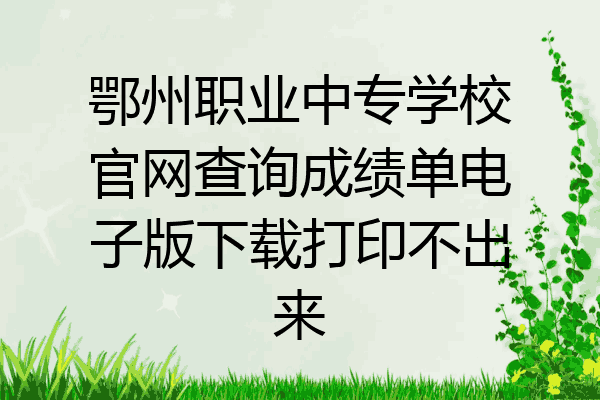 鄂州职业中专学校官网查询成绩单电子版下载打印不出来