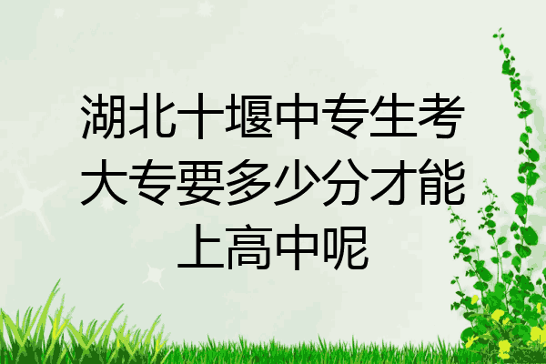 湖北十堰中专生考大专要多少分才能上高中呢