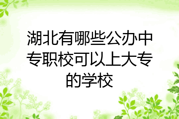 湖北有哪些公办中专职校可以上大专的学校