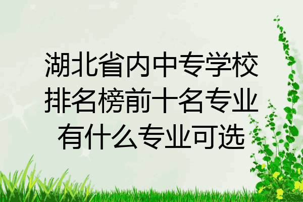 湖北省内中专学校排名榜前十名专业有什么专业可选