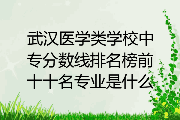 武汉医学类学校中专分数线排名榜前十十名专业是什么