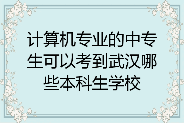 计算机专业的中专生可以考到武汉哪些本科生学校