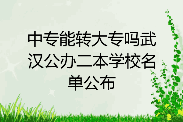中专能转大专吗武汉公办二本学校名单公布