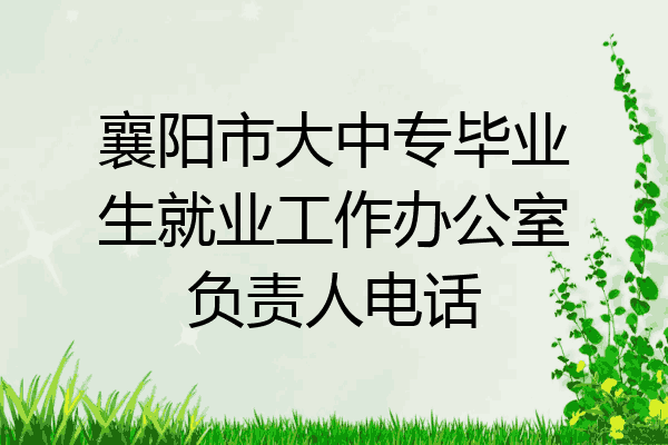 襄阳市大中专毕业生就业工作办公室负责人电话