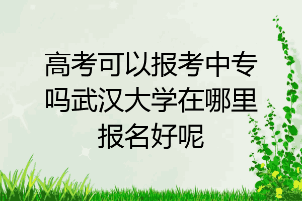 高考可以报考中专吗武汉大学在哪里报名好呢