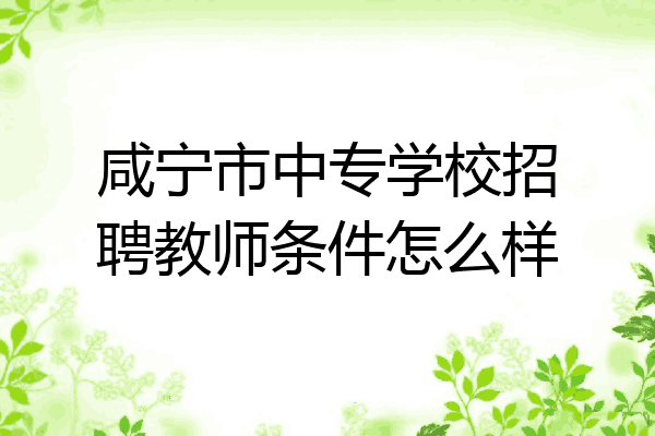 咸宁市中专学校招聘教师条件怎么样