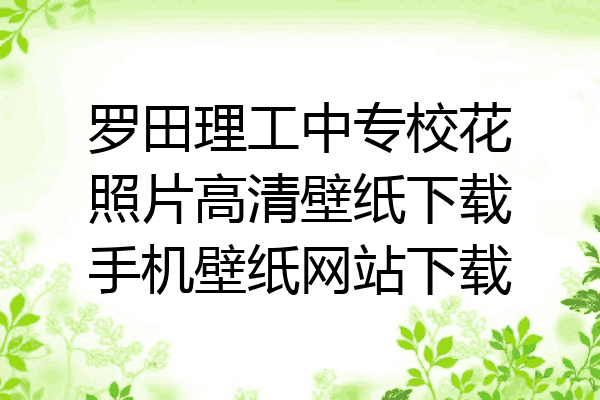 罗田理工中专校花照片高清壁纸下载手机壁纸网站下载