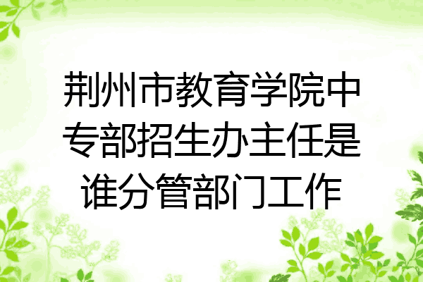 荆州市教育学院中专部招生办主任是谁分管部门工作