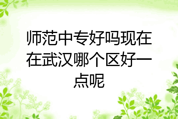 师范中专好吗现在在武汉哪个区好一点呢