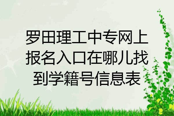 罗田理工中专网上报名入口在哪儿找到学籍号信息表