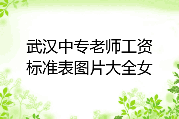 武汉中专老师工资标准表图片大全女