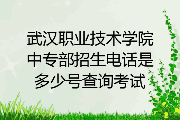 武汉职业技术学院中专部招生电话是多少号查询考试