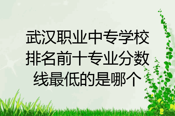 武汉职业中专学校排名前十专业分数线最低的是哪个