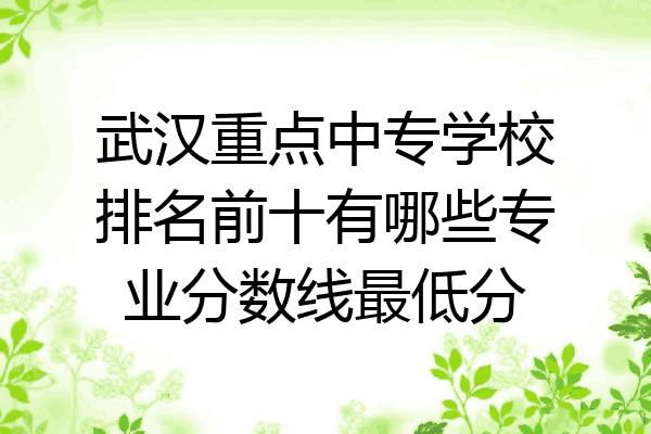 武汉重点中专学校排名前十有哪些专业分数线最低分