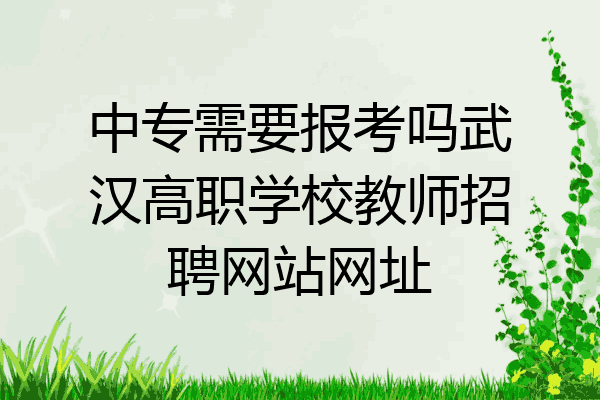 中专需要报考吗武汉高职学校教师招聘网站网址