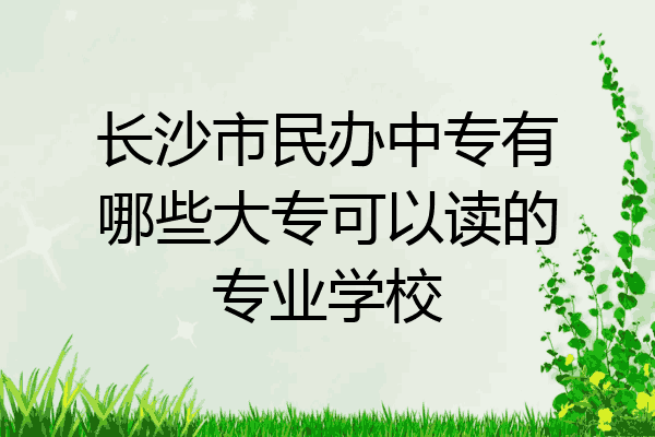 长沙市民办中专有哪些大专可以读的专业学校