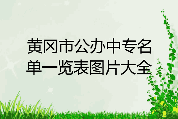 黄冈市公办中专名单一览表图片大全