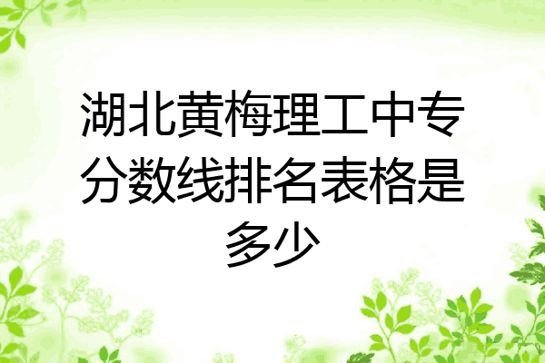 湖北黄梅理工中专分数线排名表格是多少