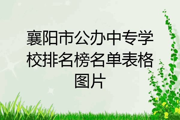 襄阳市公办中专学校排名榜名单表格图片