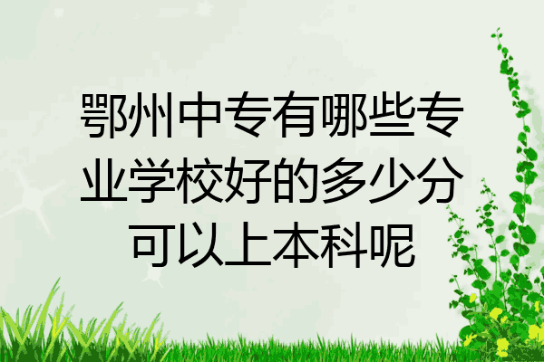 鄂州中专有哪些专业学校好的多少分可以上本科呢