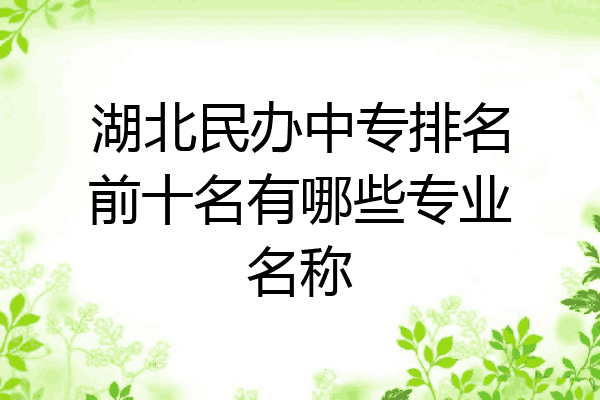 湖北民办中专排名前十名有哪些专业名称