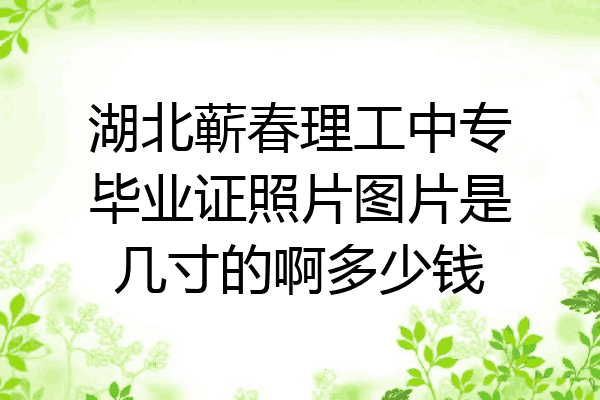 湖北蕲春理工中专毕业证照片图片是几寸的啊多少钱