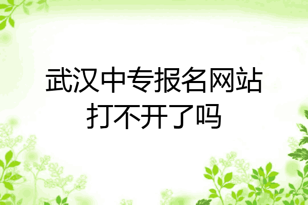 武汉中专报名网站打不开了吗