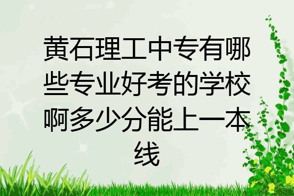 黄石理工中专有哪些专业好考的学校啊多少分能上一本线