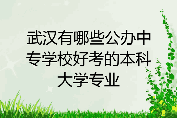 武汉有哪些公办中专学校好考的本科大学专业