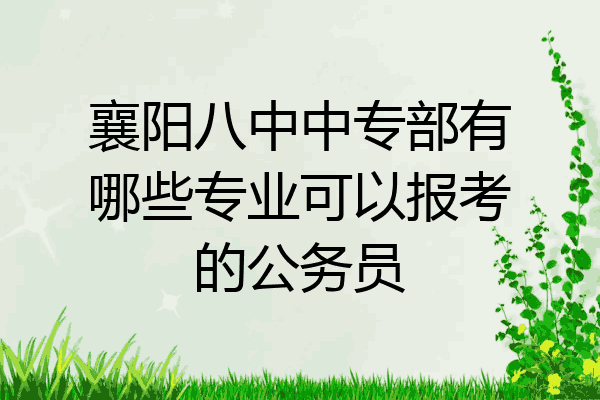襄阳八中中专部有哪些专业可以报考的公务员