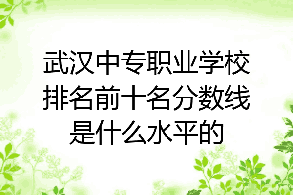 武汉中专职业学校排名前十名分数线是什么水平的