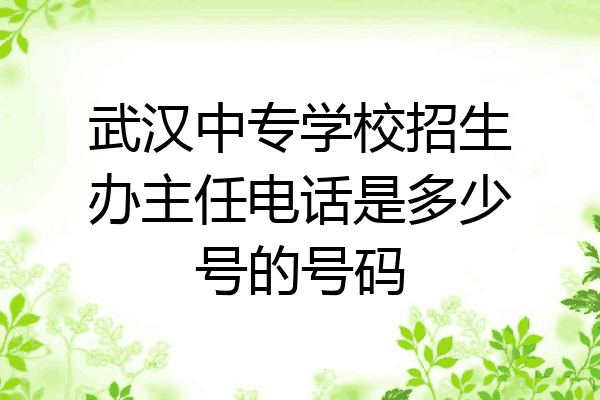 武汉中专学校招生办主任电话是多少号的号码