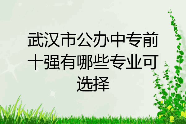武汉市公办中专前十强有哪些专业可选择