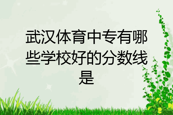 武汉体育中专有哪些学校好的分数线是