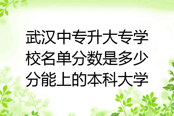 武汉中专升大专学校名单分数是多少分能上的本科大学