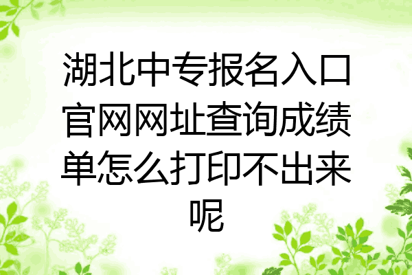 湖北中专报名入口官网网址查询成绩单怎么打印不出来呢