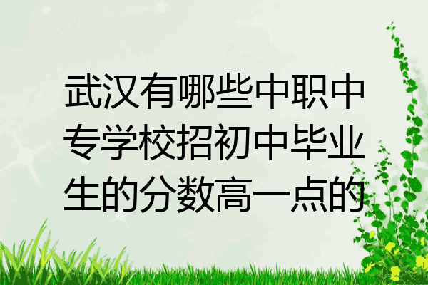 武汉有哪些中职中专学校招初中毕业生的分数高一点的
