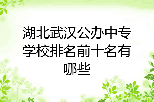 湖北武汉公办中专学校排名前十名有哪些