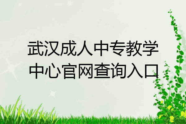 武汉成人中专教学中心官网查询入口