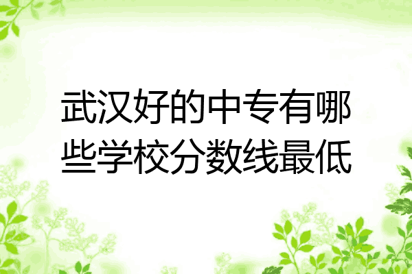 武汉好的中专有哪些学校分数线最低