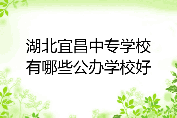 湖北宜昌中专学校有哪些公办学校好