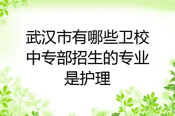 武汉市有哪些卫校中专部招生的专业是护理